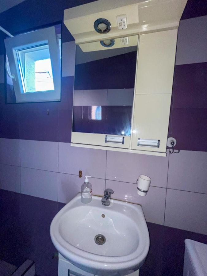 Vracar Apartment Belgrade Extérieur photo