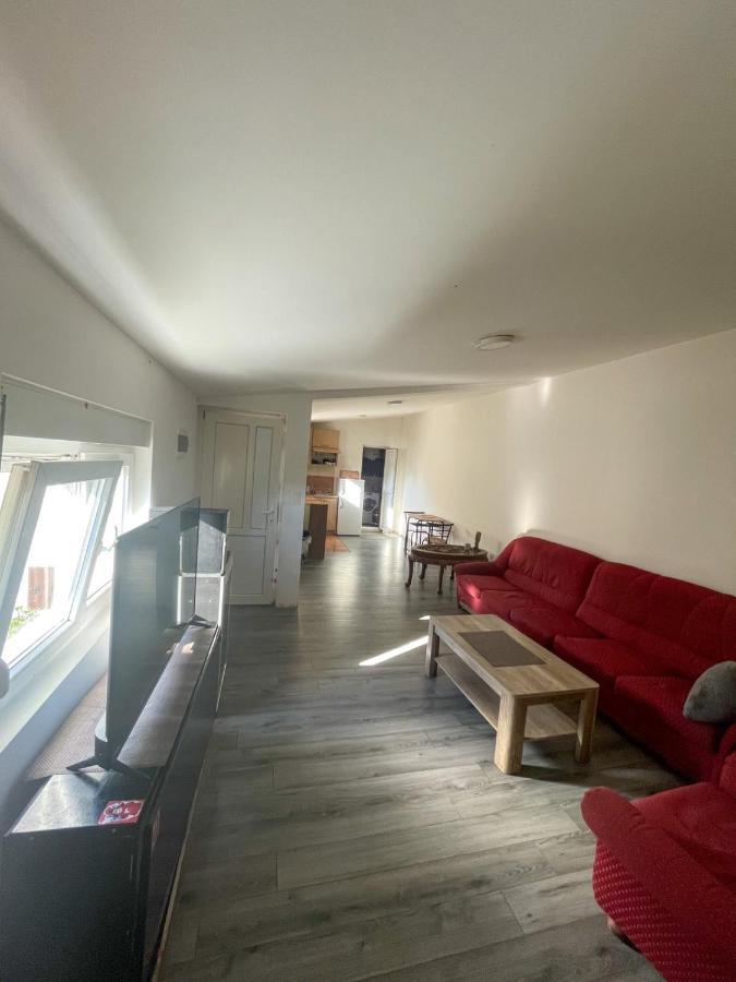 Vracar Apartment Belgrade Extérieur photo