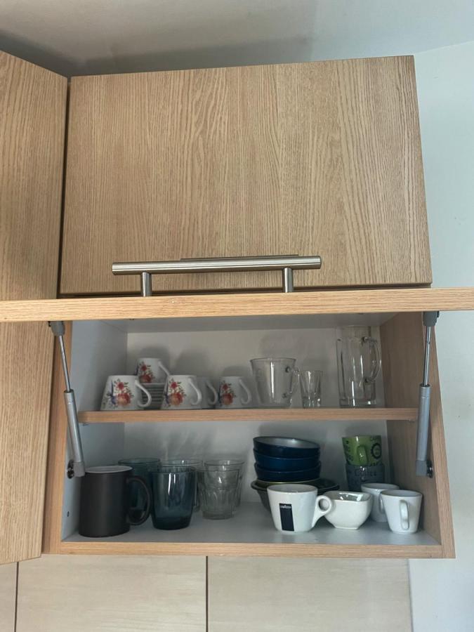 Vracar Apartment Belgrade Extérieur photo